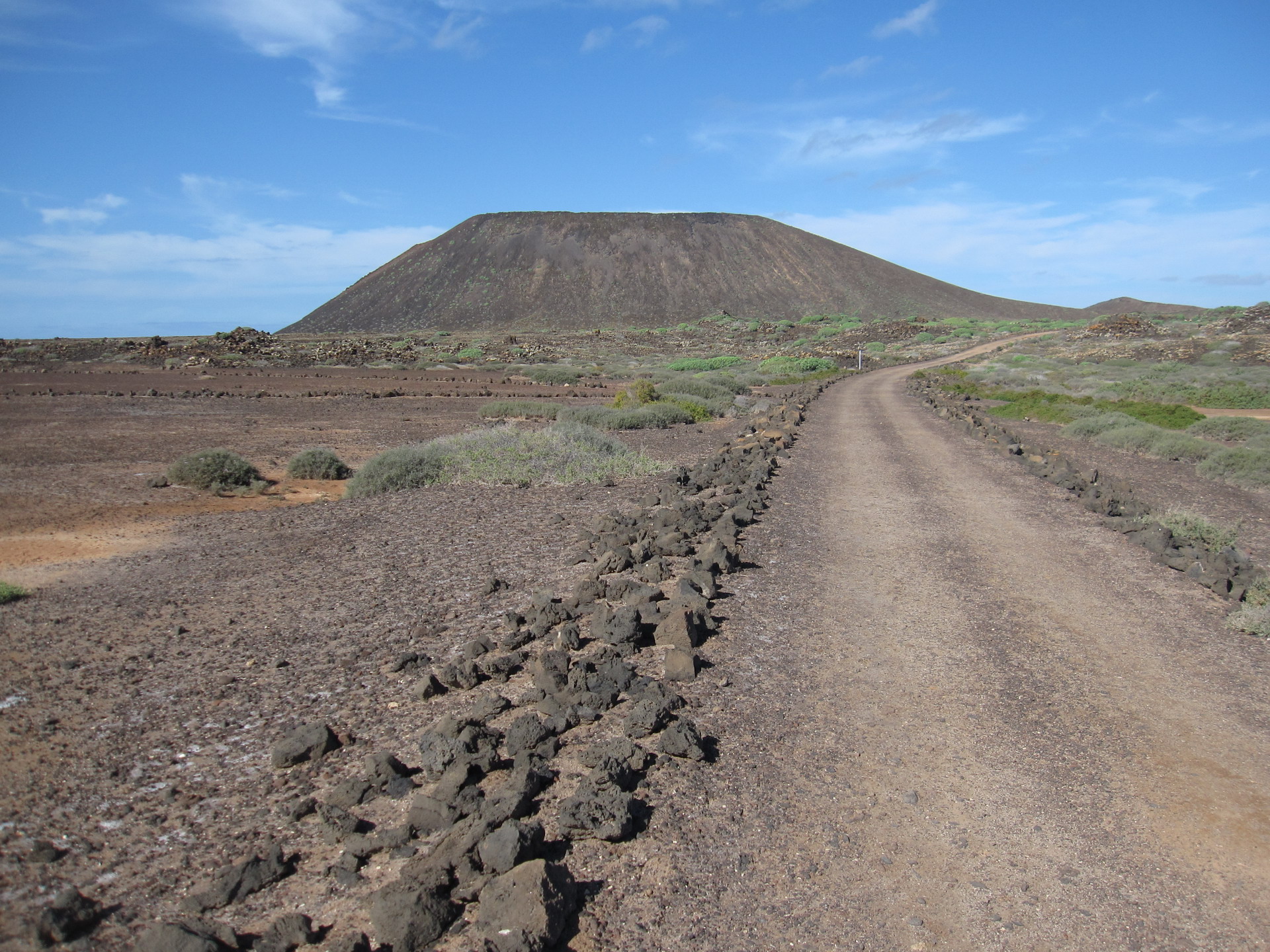 lobos fuerteventura