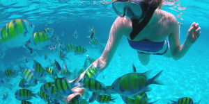 Snorkeling in Fuerteventura